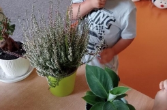 IMG20240916094027 